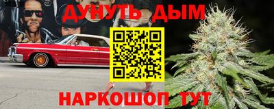 крисы Малгобек