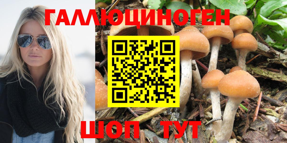 Канабис  Выкса  А ПВП СОЛЬ   ЭКСТАЗИ  ГАШ  Лсд 25  Наркошоп  Метадон  Вход с VPN  Мефедрон  
