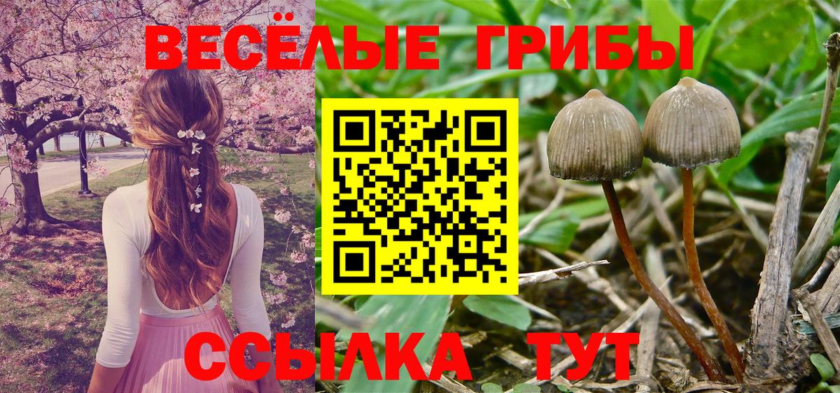 Галлюциногенные грибы Cubensis Выкса